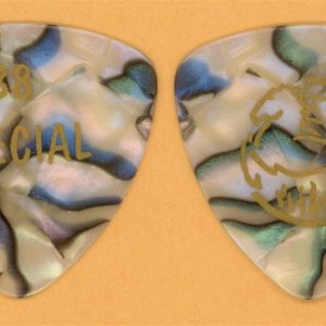 38 Special Gold/Marble Vintage Tour Guitar Pick