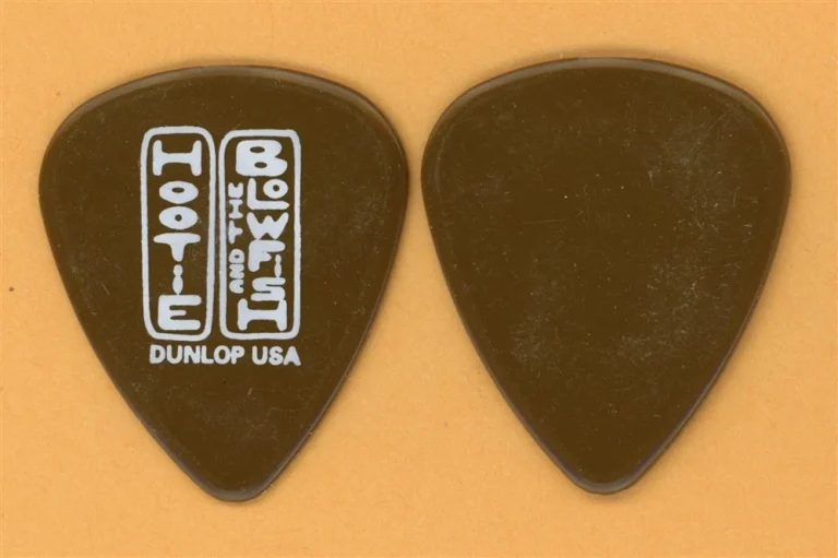 Hootie & the Blowfish Darius Rucker Vintage Guitar Pick - 2003 Tour