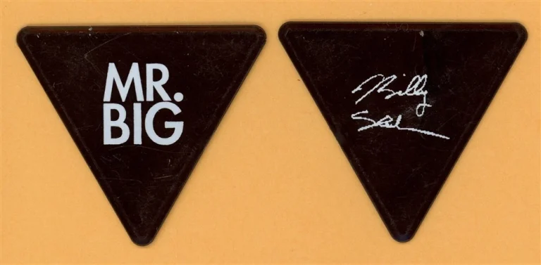 Mr. Big Billy Sheehan Vintage Guitar Pick - 2009 Reunion Tour