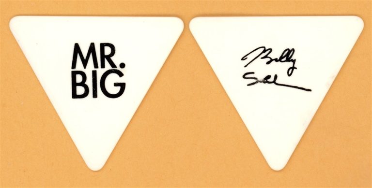 Mr. Big Billy Sheehan Vintage Guitar Pick - 2011 What If Tour