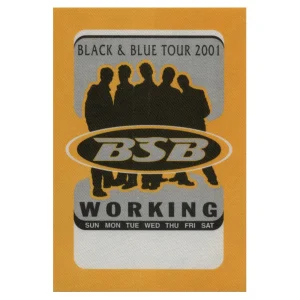 Backstreet Boys 2001 Black & Blue Concert Tour Working Backstage Pass