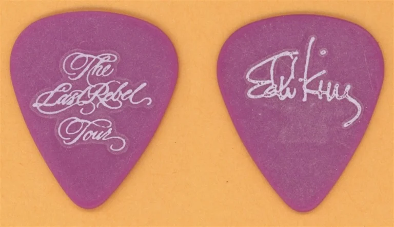 The Last Rebel Tour Vintage Tour Guitar Pick