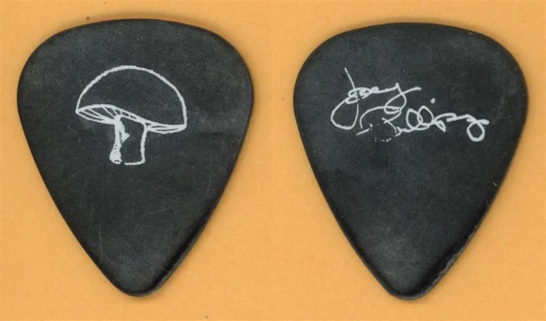 The Poorboys Joey Phillipy Vintage Tour Guitar Pick