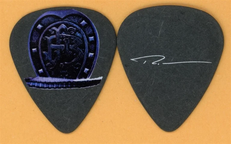 Nickelback Ryan Peake Vintage Guitar Pick - 2009 Dark Horse Tour