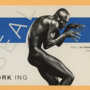 Seal 1999 Human Being Concert Tour WORKING Backstage Pass