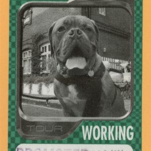 Seal 2004 IV Concert Tour WORKING Backstage Pass