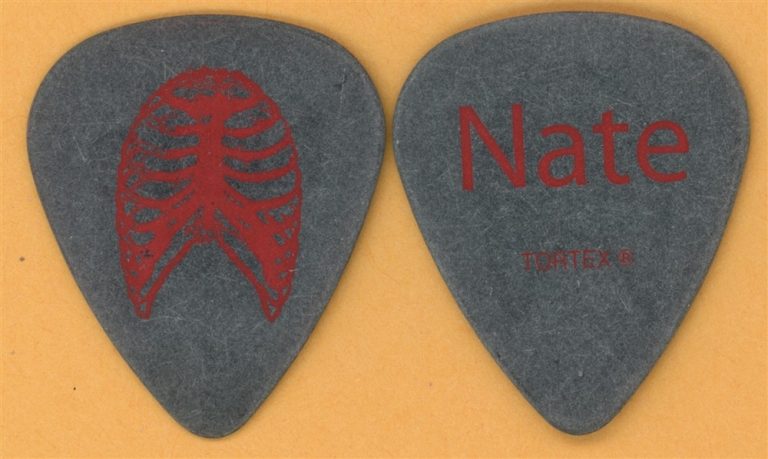 A Static Lullaby Nate Lindeman Guitar Pick - 2004 Don't Forget to Breathe Tour
