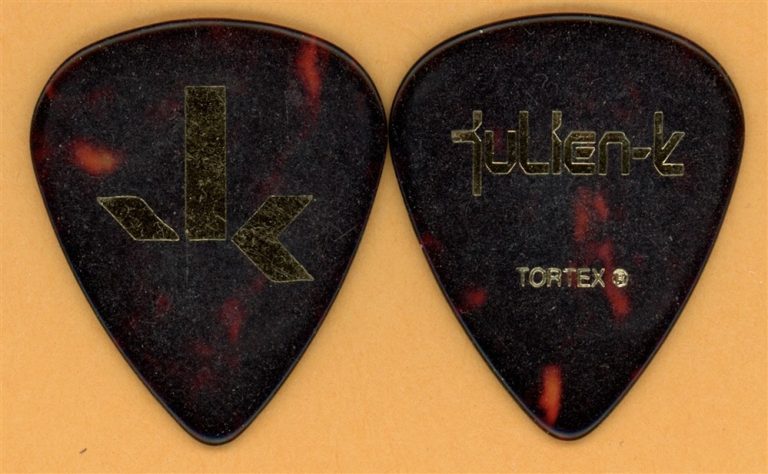 Julien K Amir Derakh ORGY Vintage Guitar Pick - 2010 Death to Analog Tour