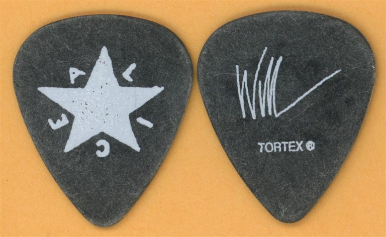 Alice in Chains Will DuVall Guitar Pick - 2010 Black Gives Way to Blue Tour