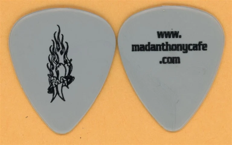 Van Halen Michael Anthony 2002 Tour Dunlop Grey V1 (Hollow Pepper) Guitar Pick
