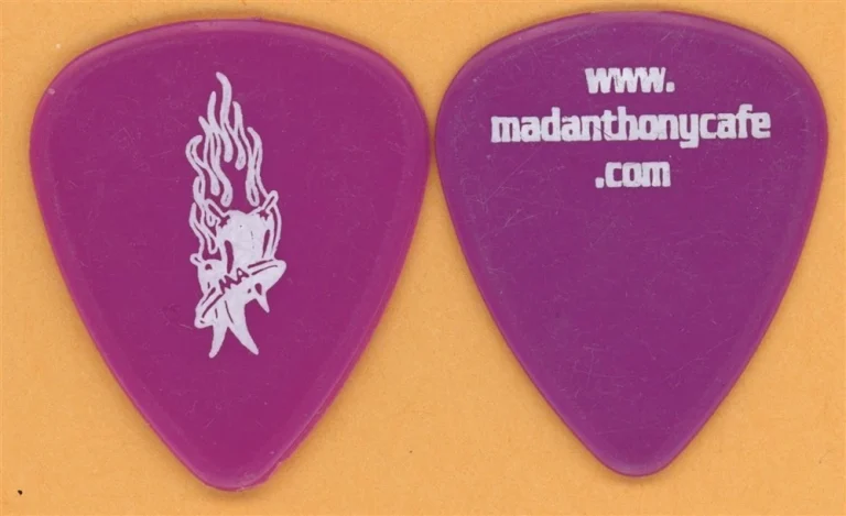 Van Halen Michael Anthony 2002 Tour Dunlop Pink V10 (Solid Pepper) Guitar Pick