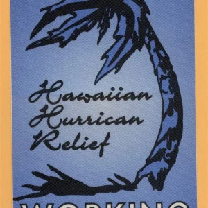 Jimmy Buffett 2017 Hawaiian Hurrican Relief Concert Tour WORKING Backstage Pass