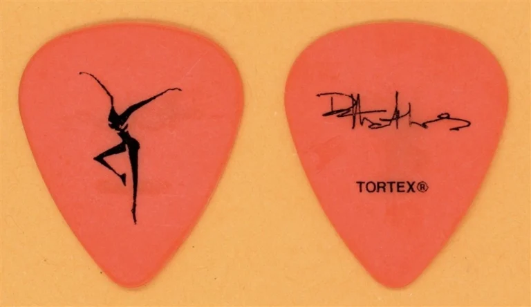 Dave Matthews Band DMB Vintage Guitar Pick - 1990s Tour - Large Logo
