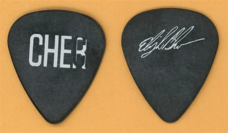Cher Elija Blue Allman Vintage Guitar Pick - 1989 Heart of Stone Tour