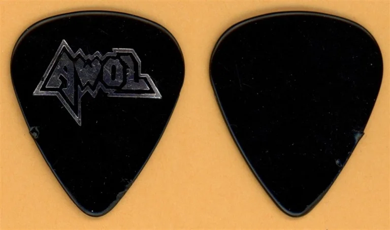 AWOL Eric Bradley Vintage Tour Guitar Pick