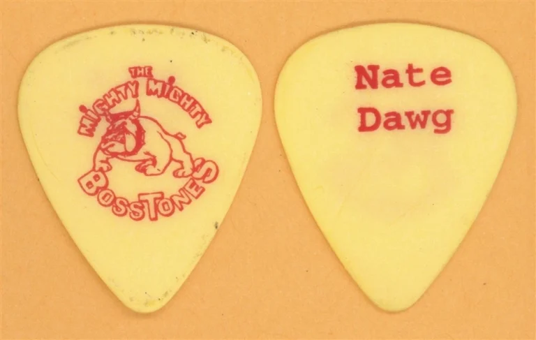 Mighty Mighty Bosstones Nate Albert Guitar Pick - 2000 Pay Attention *LAST 1*
