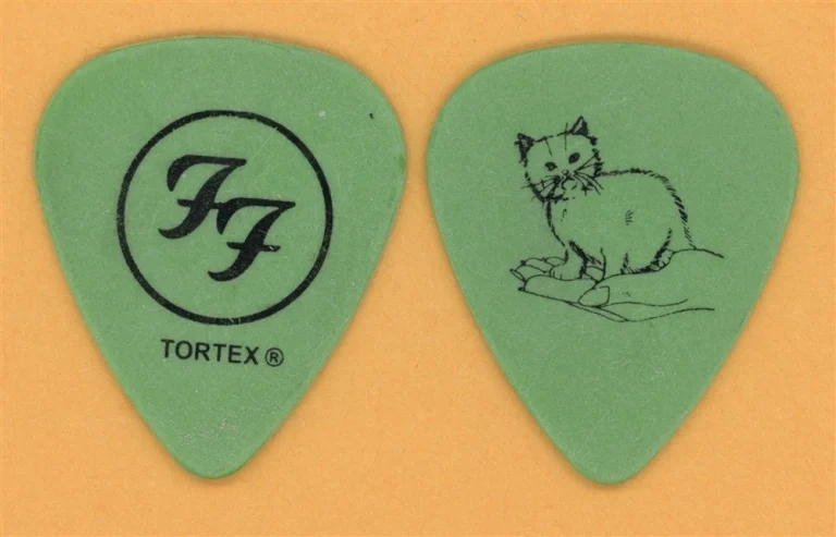 Foo Fighters Nate Mendel Vintage Guitar Pick - 2005 In Your Honor Tour