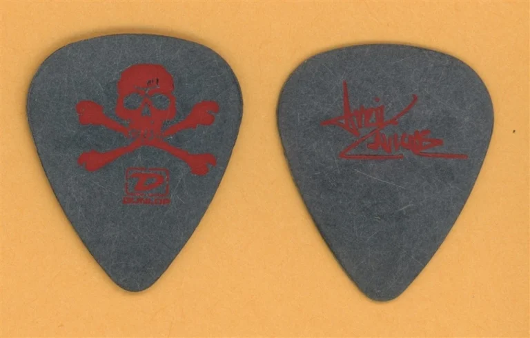 Avril Lavigne Vintage Guitar Pick - 2005 Bonez Tour