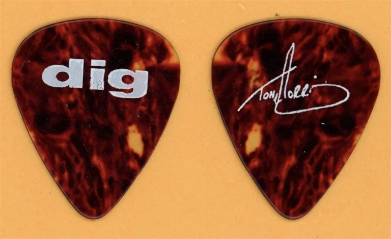 DIG Jon Morris Vintage Guitar Pick - 1993 US Tour
