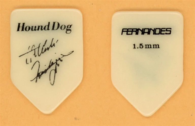 Hound Dog Hideki Samejima Vintage Guitar Pick - 1989 Gold Tour