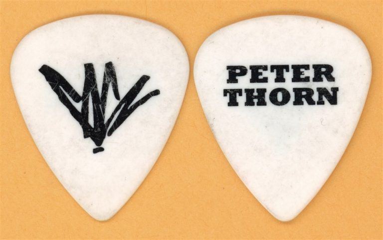 Chris Cornell Peter Thorn Vintage Guitar Pick - 2009 Scream Tour