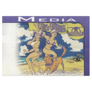 Aerosmith 2002 Girls of Summer Concert Tour Media Backstage Pass