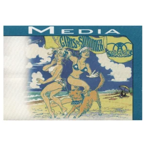 Aerosmith 2002 Girls of Summer Concert Tour Media Backstage Pass