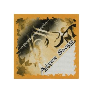 A Perfect Circle 2001 Mer de Noms Concert Tour Aftershow Backstage Pass