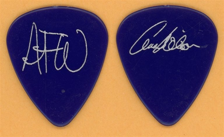 Heart Ann Wilson AFW Vintage Guitar Pick - 1993 Desire Walks On Tour