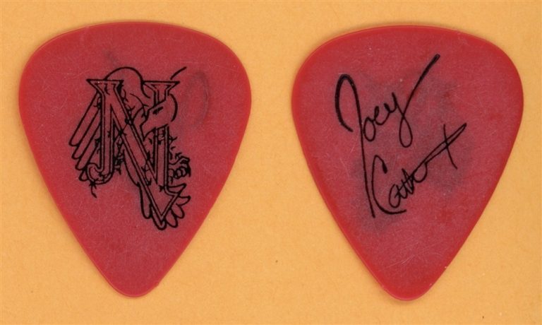 Nelson Joey Cathcart Vintage Guitar Pick - 1990 After The Rain Tour