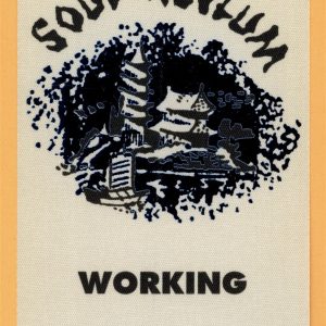 Soul Asylum 1995 Let Your Dim Light Shine Concert Tour WORKING Backstage Pass