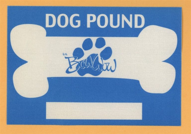 Bow Wow 2000 Beware of Dog Concert Tour DOG POUND Backstage Pass