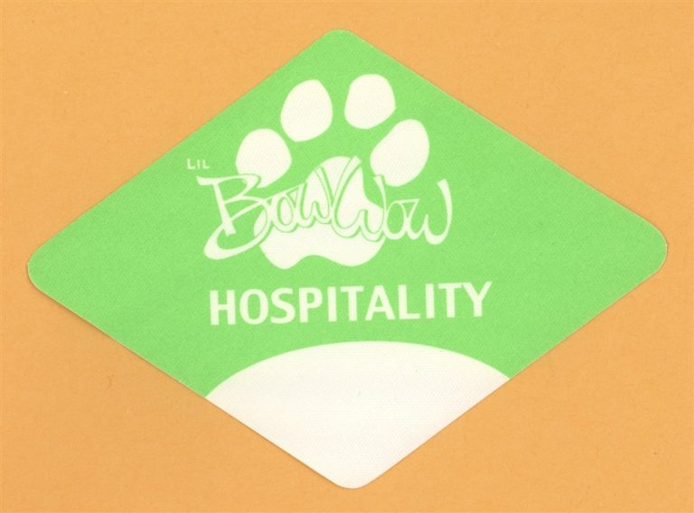 Bow Wow 2000 Beware of Dog Concert Tour HOSPITALITY Backstage Pass