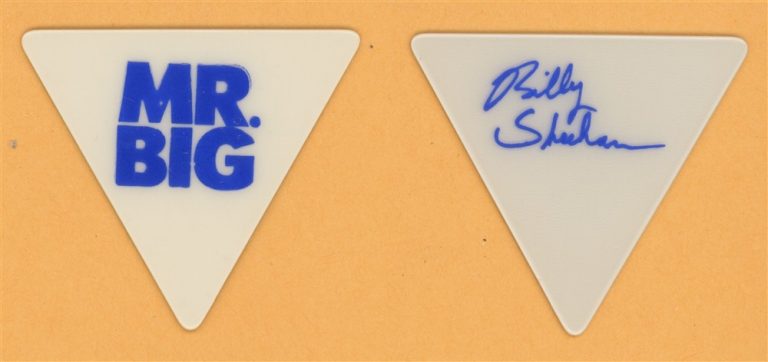 Mr. Big Billy Sheehan Vintage Guitar Pick - 1991 Lean Into It Tour