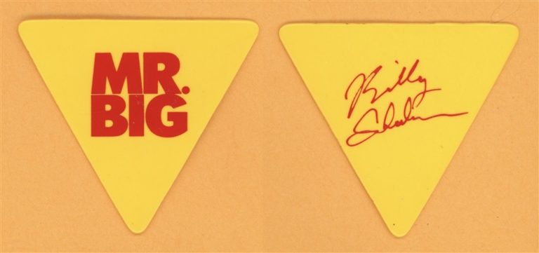 Mr. Big Billy Sheehan Vintage Guitar Pick - 1991 Lean Into It Tour