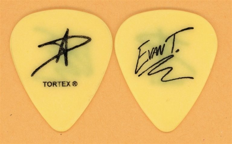 Avril Lavigne Evan Taubenfeld Vintage Guitar Pick - 2003 Lets Go Tour