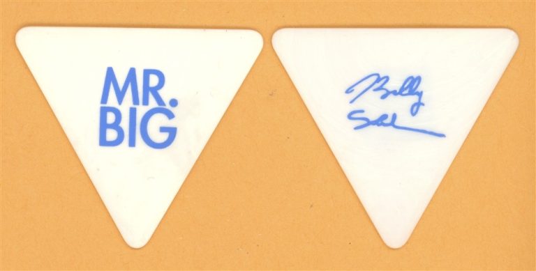 Mr. Big Billy Sheehan Vintage Guitar Pick - 2011 What If Tour