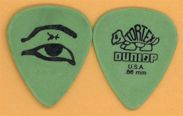 System of a Down Serj Tankian Vintage Guitar Pick - 2008 Elect the Dead Tour