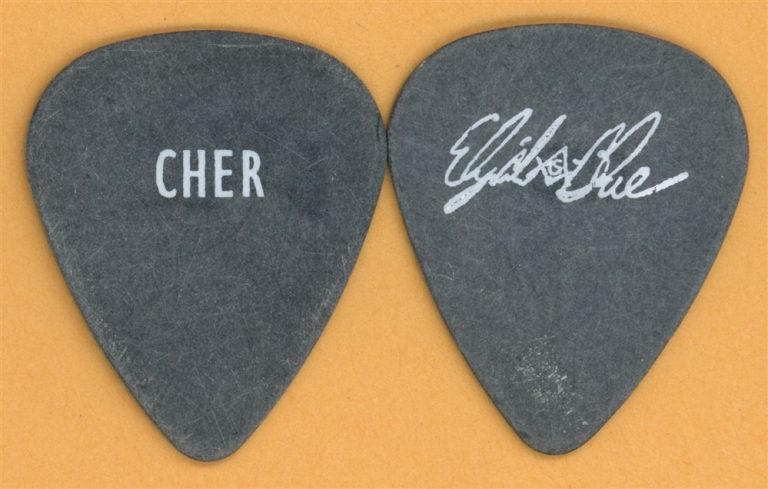 Cher Elijia Blue Allman Vintage Guitar Pick - 1989 Heart of Stone Tour