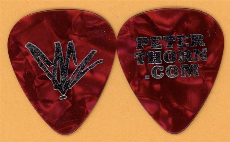 Chris Cornell Peter Thorn Vintage Guitar Pick - 2009 Scream Tour