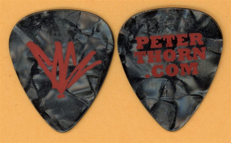 Chris Cornell Peter Thorn Vintage Guitar Pick - 2009 Scream Tour