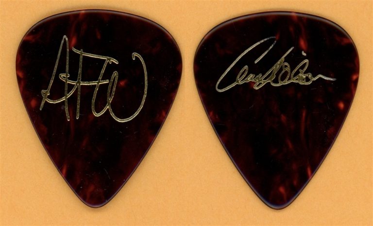 Heart Ann Wilson AFW Vintage Guitar Pick - 1993 Desire Walks On Tour