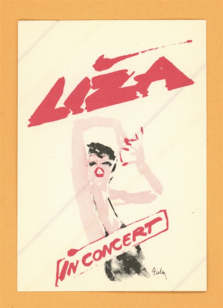 Liza Minnelli 1979 By Myself Concert Tour ALL ACCESS Backstage Pass