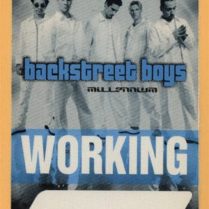 Backstreet Boys 2000 Millennium Concert Tour Working Backstage Pass
