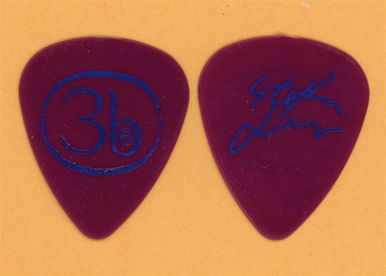 Third Eye Blind Stephan Jenkins Guitar Pick - 2003 Within Arm's Reach Tour