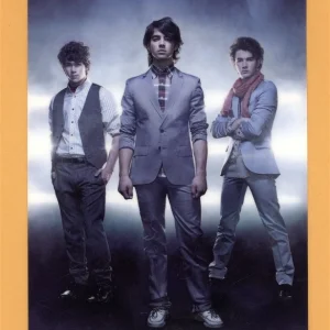 Jonas Brothers 2008 A Little Bit Longer Tour AA Laminated Backstage Pass