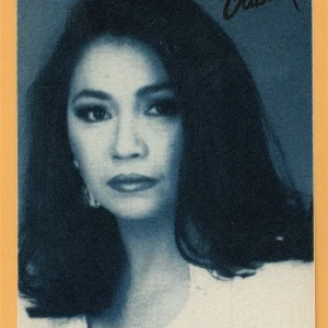 Ana Gabriel Concert Tour Backstage Pass