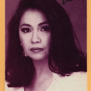 Ana Gabriel Concert Tour Backstage Pass