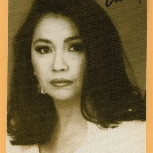 Ana Gabriel Concert Tour Backstage Pass