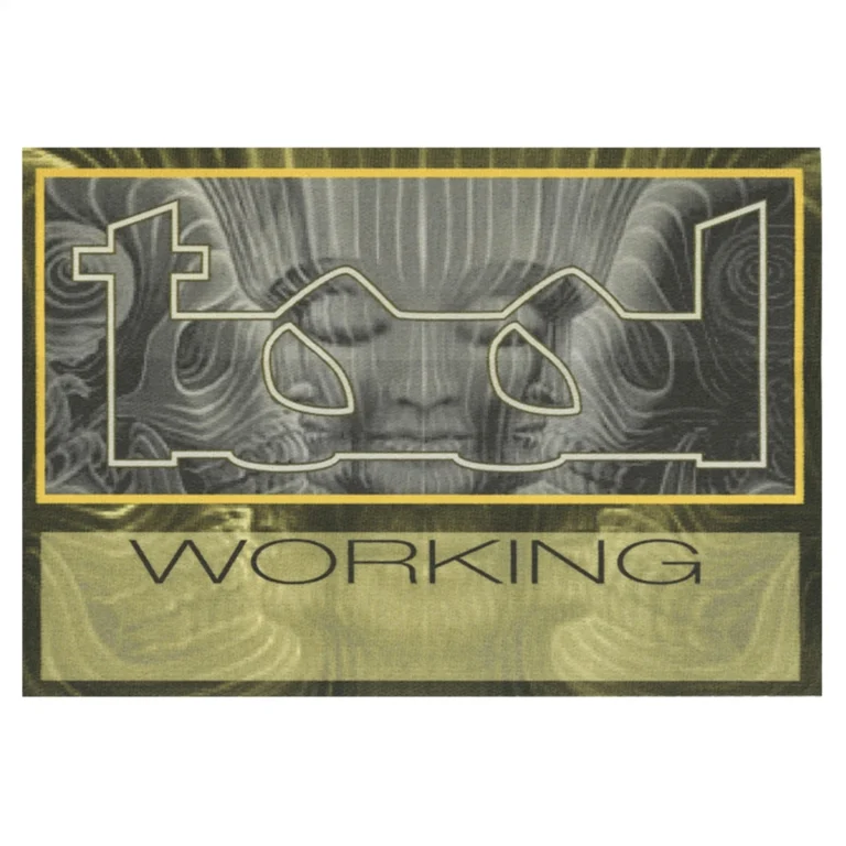 Tool 2002 Lateralus Concert Tour Working Backstage Pass